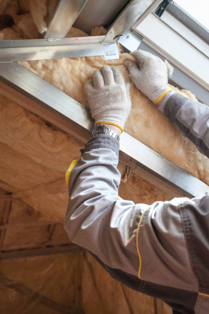 Trusted East Bronson, FL Insulation Contractor Experts