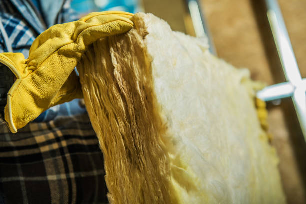 Best Commercial Insulation Contractor  in East Bronson, FL
