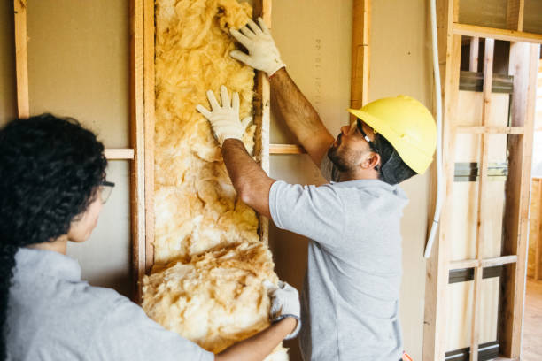 Insulation Inspection Services in East Bronson, FL