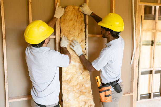 Insulation Contractors for Homes in East Bronson, FL