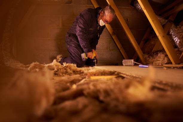 Best Insulation Repair Services  in East Bronson, FL